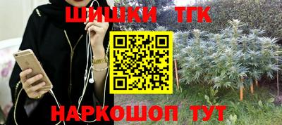 сатива Нальчик