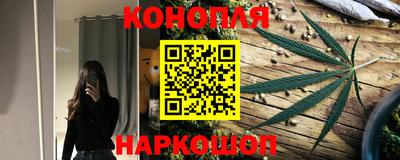сатива Нальчик