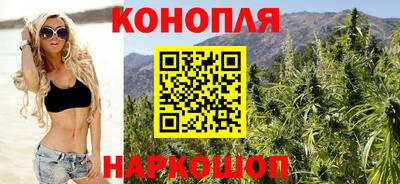 сатива Нальчик