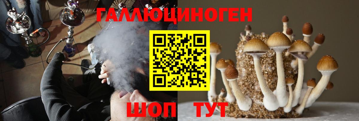 Галлюциногенные грибы мухоморы Строитель